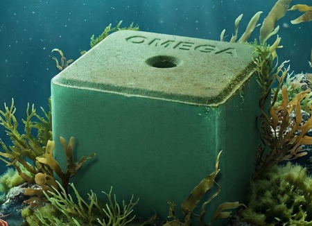 Omega Seaweed-Enriched Licking Blocks: The Next Evolution in Livestock Nutrition