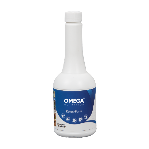 Ketox-Farm
